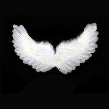 AngelWings