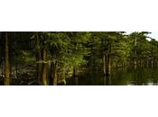 Summertime Poem: Stories What Have