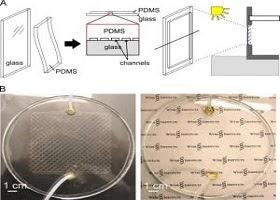 Adaptive Thermal Control Of Windows For Energy Efficiency