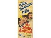 Male Animal (1942)