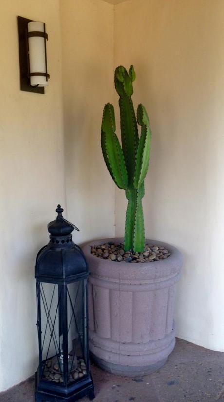 Living and Learning IMG_7663