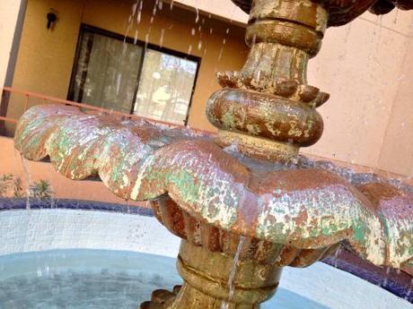 Living and Learning IMG_7253