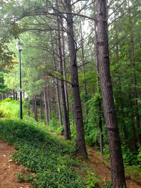 Living and Learning IMG_7145