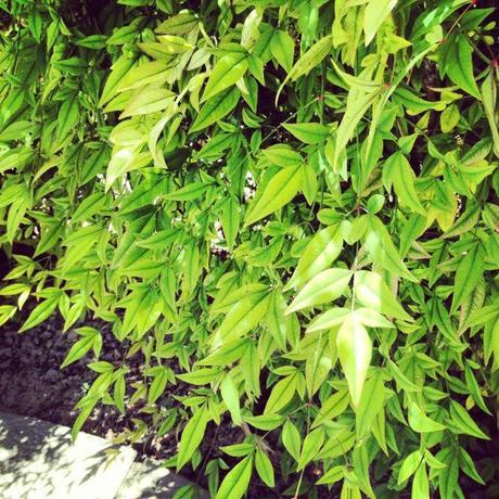 Living and Learning IMG_7303