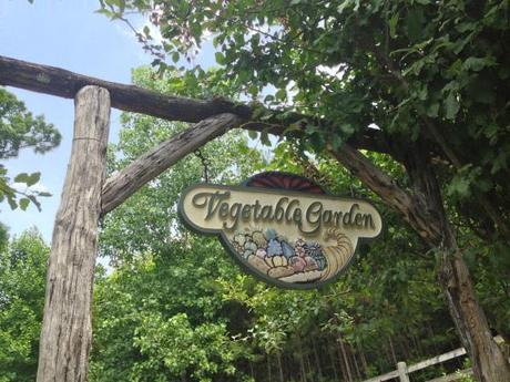 Living and Learning IMG_7182