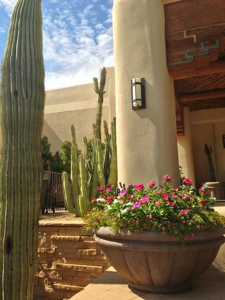 Living and Learning IMG_7668