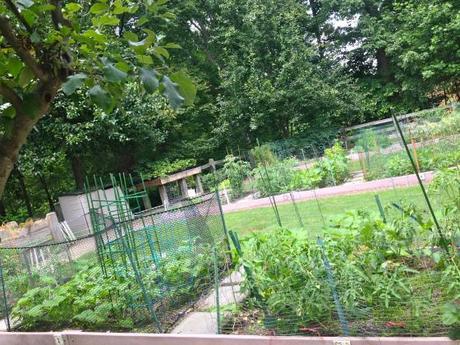 Living and Learning IMG_7184