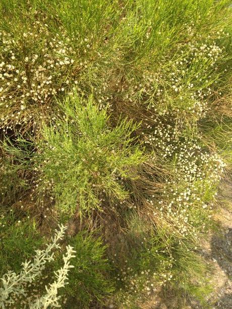 Living and Learning IMG_7418