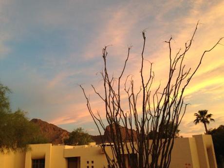 Living and Learning IMG_7686