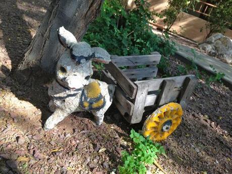 Living and Learning IMG_7251