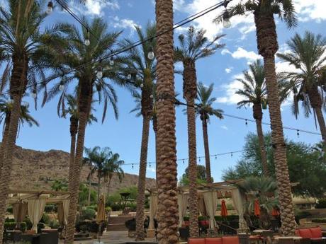 Living and Learning IMG_7719