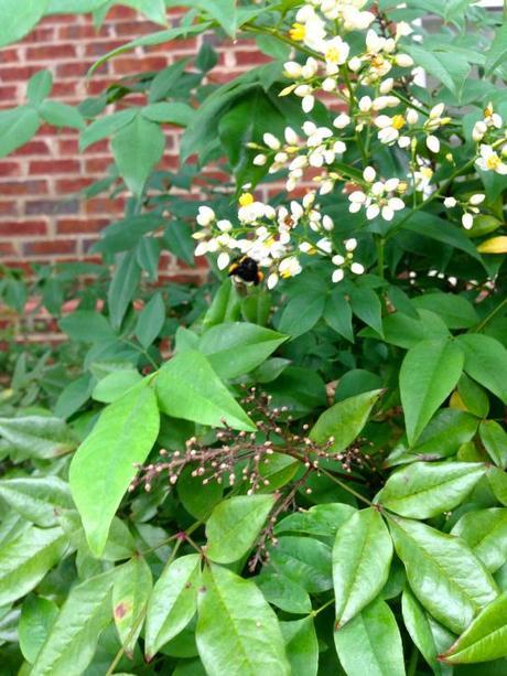 Living and Learning IMG_7196