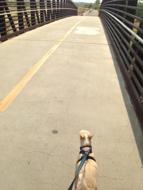 Living and Learning IMG_7425