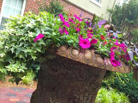 Living and Learning IMG_7199