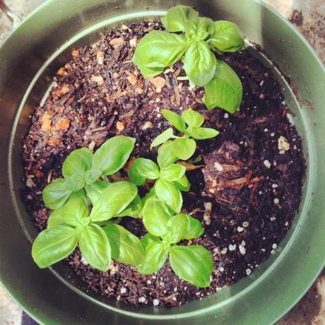 Living and Learning IMG_7822