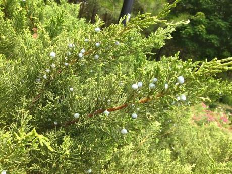 Living and Learning IMG_7162