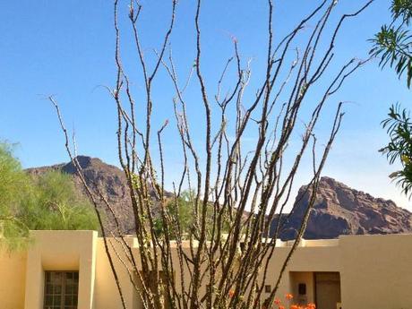 Living and Learning IMG_7676