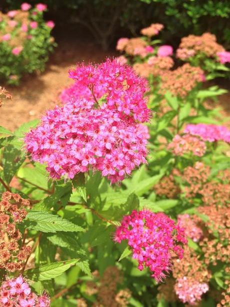 Living and Learning IMG_7152