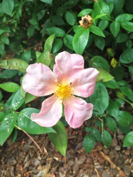 Living and Learning IMG_7158