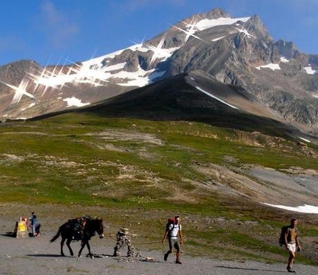 Donkey led tour of the Tour du Mont Blanc (TMB)