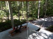 Indoor-Outdoor Hammocks