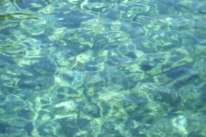 A view of the water at Rainbow Springs in Dunnellon, FL.