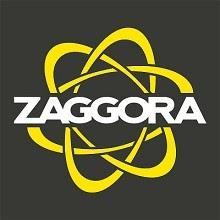 Dear August: An Experiment and Zaggora Hot Pants