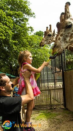 NaplesZoo 02626 M Visiting Naples Zoo with a Grandchild