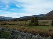 Leaving Montana