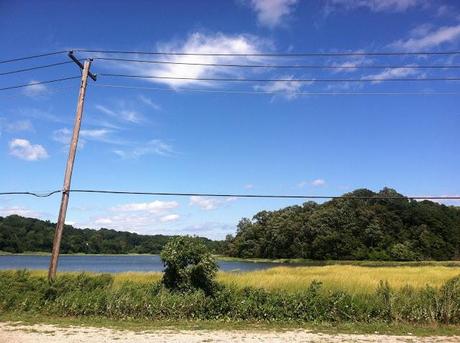 The-Road-to-Lloyd-Neck,NY