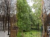 Day: Slices from Days Combined Make Photo