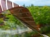 Design Polymer Solar Cells Lead Increased Efficiency