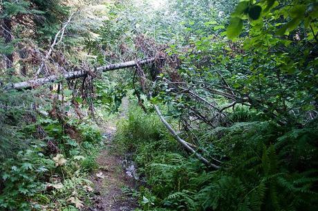Quartz mountain fire lookout quartz mountain august 2013