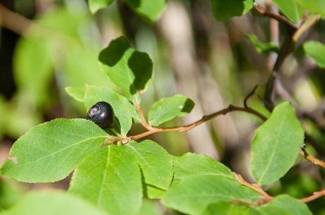 Quartz mountain fire lookout quartz mountain august 2013