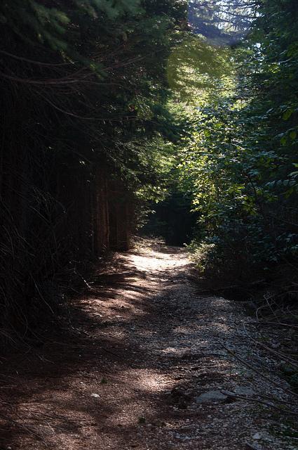 Quartz mountain fire lookout quartz mountain august 2013