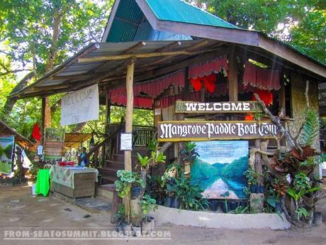 Sabang, Palawan | Mangrove Paddle Boat Tour