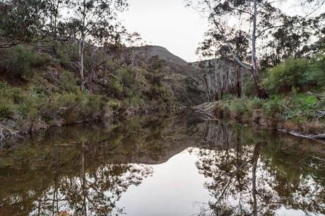 reflections on lerderderg river