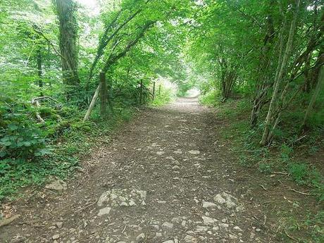 The Mendip Hills