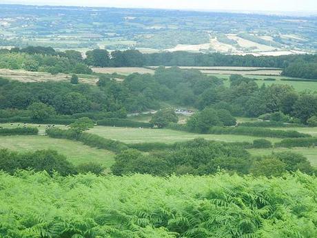 The Mendip Hills