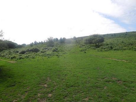 The Mendip Hills