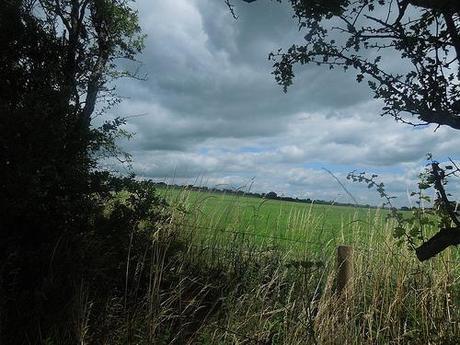 The Mendip Hills