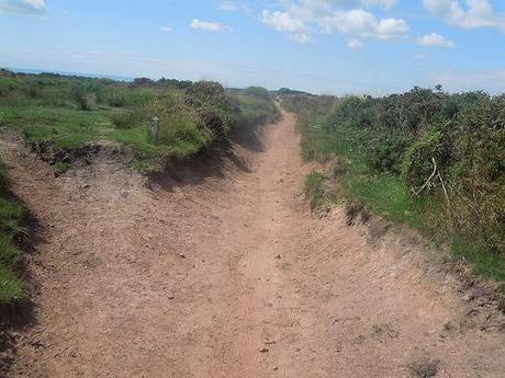 The Mendip Hills