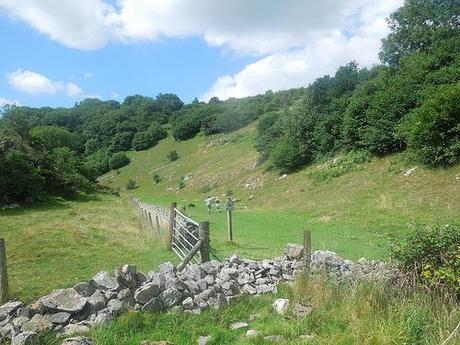 The Mendip Hills