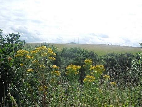 The Mendip Hills