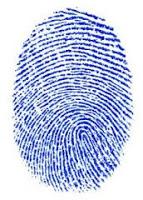 Dim Crims: Arresting behavior