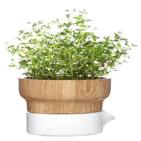 Fix Herb Pot design by Sagaform