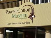 Quex Park, Cotton-Powell Museum