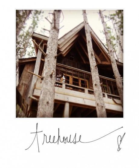 Any ideas on how to rent out our #treehouse ? Please come share and let me know on lynneknowlton.com