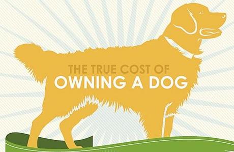 INFOGRAPHIC: The True Cost of DOG Ownership
