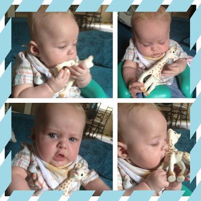 Baby Watch: Week 21